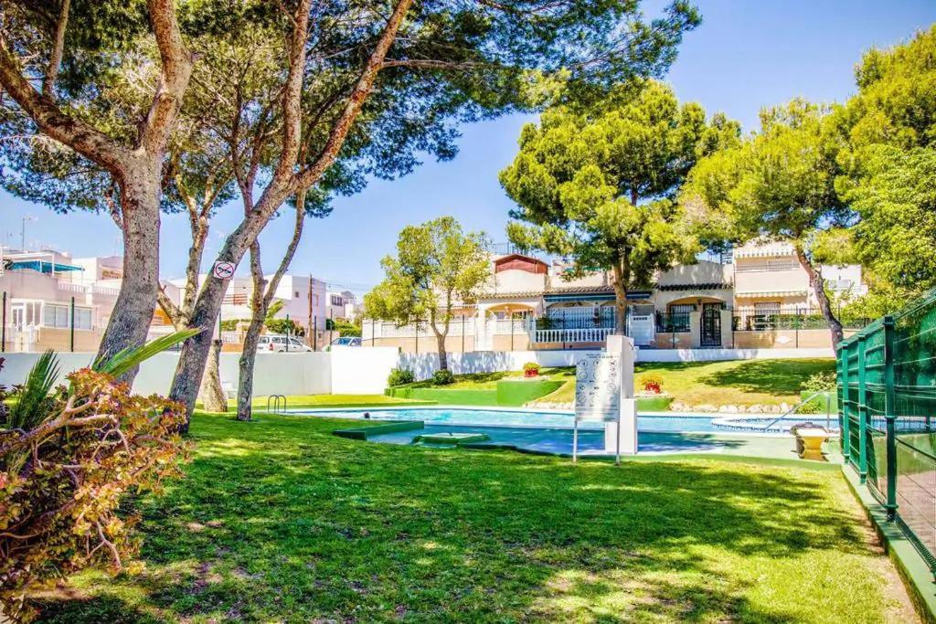 Casa Del Gato Rojo , Communal Swimming Pool , Terrace With Barbecue Apartment Torrevieja