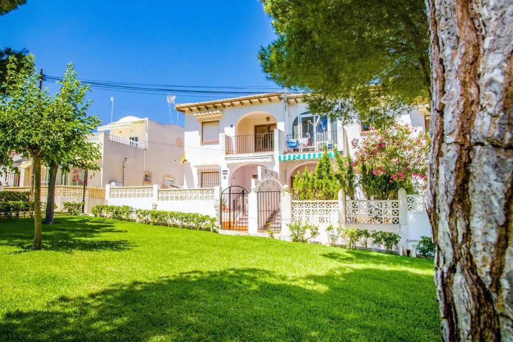 Apartamento Casa Del Gato Rojo , Communal Swimming Pool , Terrace With Barbecue Torrevieja
