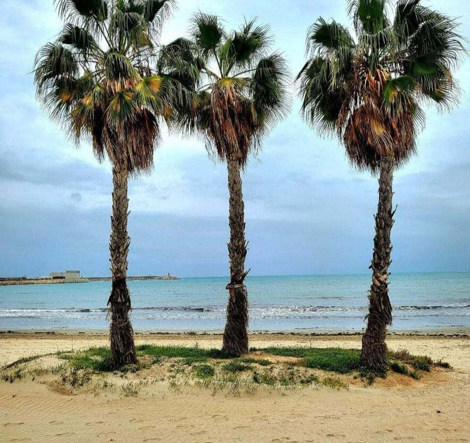 Casa Del Gato Rojo , Communal Swimming Pool , Terrace With Barbecue * Torrevieja