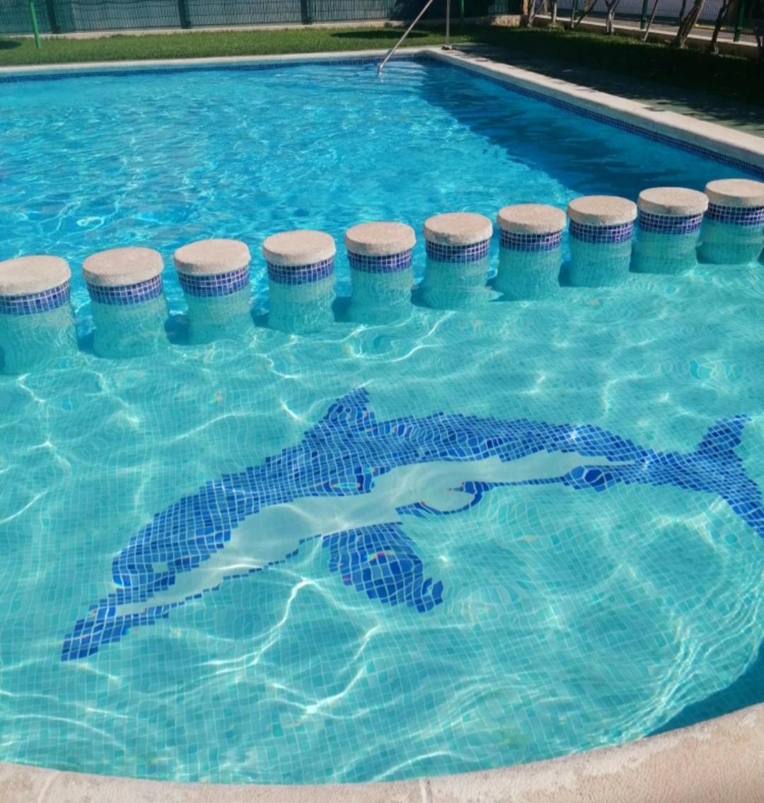 Apartment Casa Del Gato Rojo , Communal Swimming Pool , Terrace With Barbecue Torrevieja
